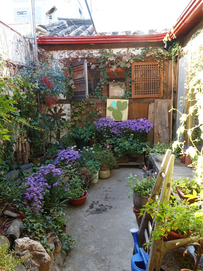 DSC07589.jpg