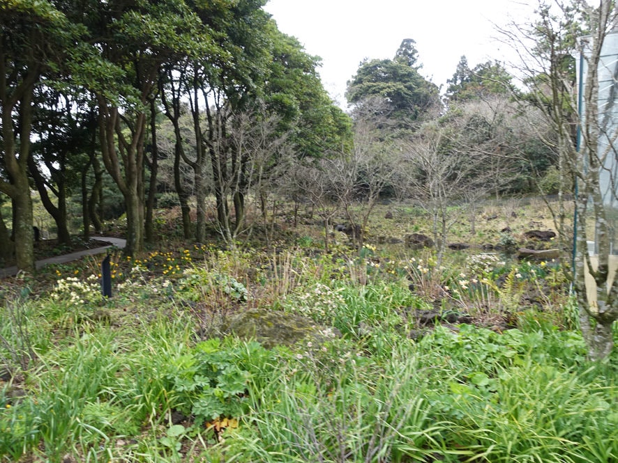 DSC01060.jpg