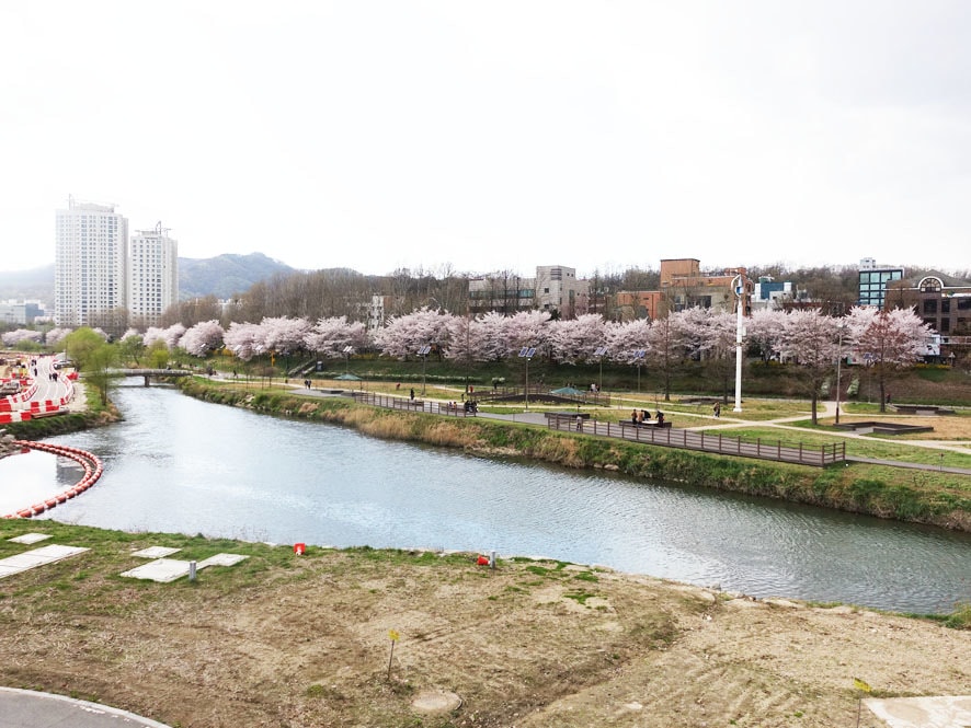DSC00955.jpg
