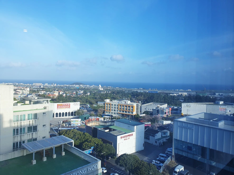 20230403_074229.jpg